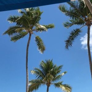 Meet your Posher, Mickey